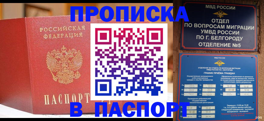 временная регистрация в квартире в Новгородской области