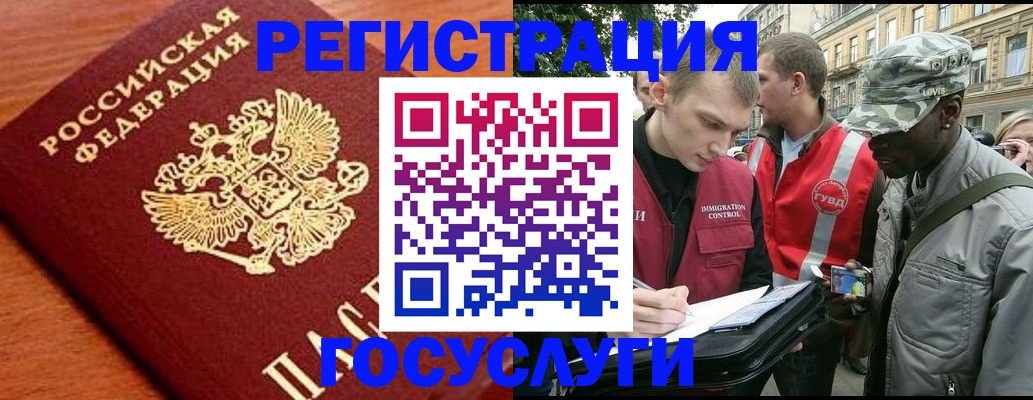 форма 3 в Новгородской области